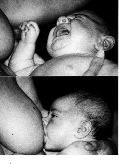 [Digitalizar-1[1].0]